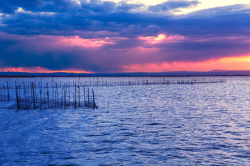 Obraz premium Albufera sunset lake park in Valencia el saler Spain