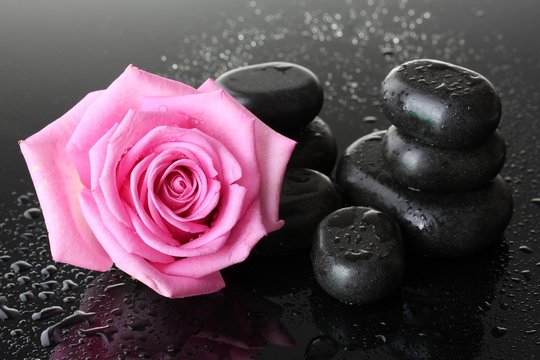 Fototapeta Spa stones with drops and pink rose on grey background