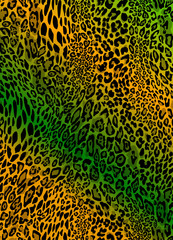 leopard pattern