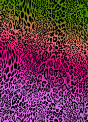 Obraz premium leopard pattern