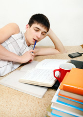 Teenager preparing for Exam