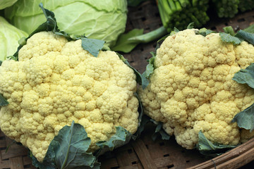 close-up cauliflower in vegetable garden