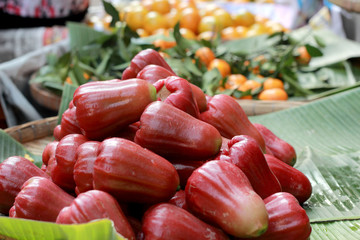 rose apple fruits in the market