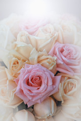 Beautiful yellow and pink roses background,selective focus