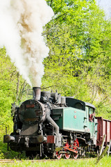 steam locomotive, Durdevik, Bosnia and Hercegovina