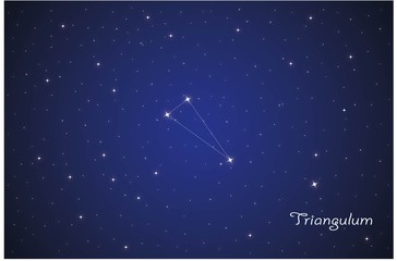 Obraz na płótnie Canvas Constellation Triangulum