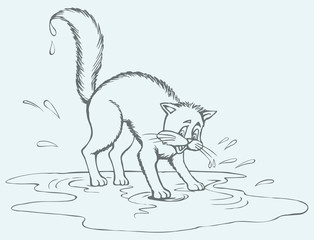 Vector drawing. Scared cat soaked in a puddle