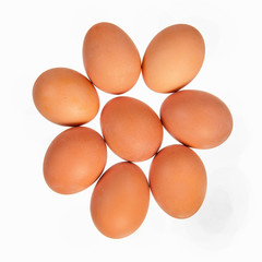 Eight brown eggs