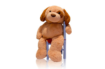 Teddy Teddybär Hund Kuscheltier Stuhl sitzen sitzend