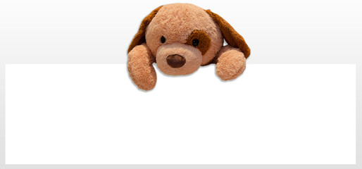 Teddy Teddybär Hund Schild Werbeschild Werbung