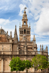 Fototapeta na wymiar Gothic Seville Cathedral in Spain