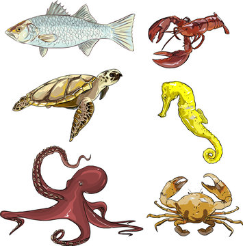 underwater creatures