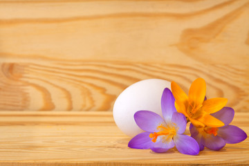 Easter eggs and crocus. 