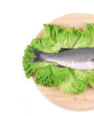 Fresh seabass fish tail on lettuce.