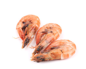 Three fresh boiled shrimps.