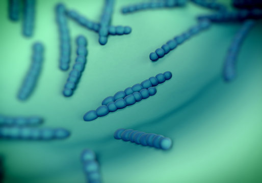 Streptococcus pneumoniae, bacteria artwork
