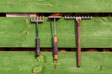 Obraz premium Narzędzia ogrodnicze, grabie, haczka, motyka