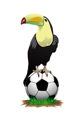 tucan_soccer © Davidus
