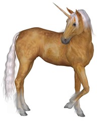 Palomino Unicorn - Turning © Algol