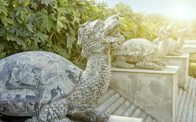 china turtle stone carving