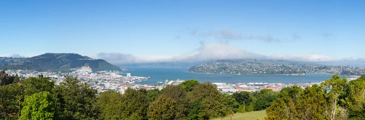 Poster Panoramic landscape Otago Bay Dunedin © steheap