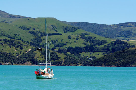 akaroa sailing