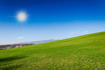 green field and blue sky