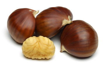 Fototapeta premium Chestnut