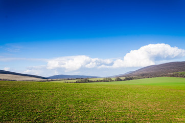 green field and blue sky