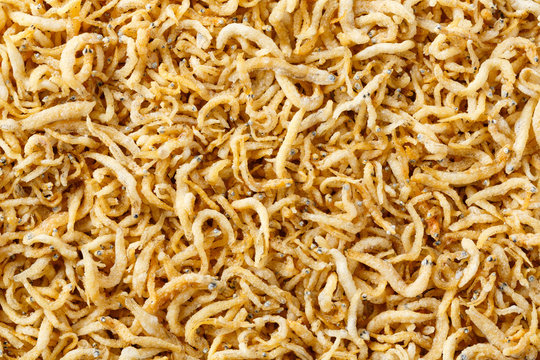 Ricefish or tiny anchovy