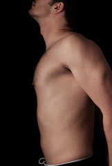 Naklejka premium Human anatomy series: torso