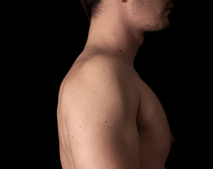Human anatomy series: shoulder