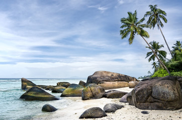Spectacular  palm-fringed  beach of tropical island