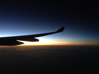 plane wing in silhouette