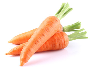 Fresh carrot in closeup