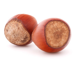 hazelnut or filbert nut isolated on white background cutout