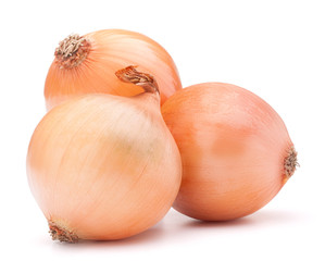 Fototapeta premium Gold onion vegetable bulbs