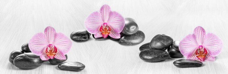Horizontal panorama with pink orchids and zen stones on a wooden - obrazy, fototapety, plakaty
