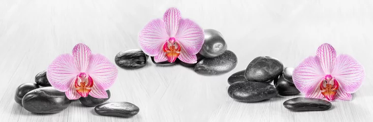 Horizontales Panorama mit rosa Orchideen und Zen-Steinen auf einem Holz
