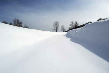 strada coperta di neve tra i boschi, Alpi italiane