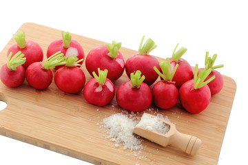 Radis en entrée