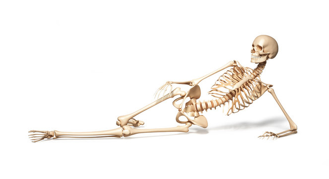 Skeleton of human female lying on floor.