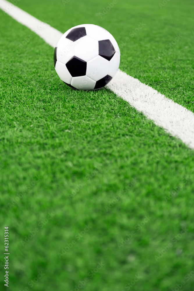 Wall mural Traditional soccer ball on soccer field