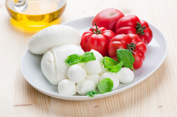 Mozzarella Cheese with Tomato and Basil