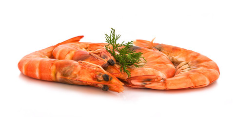 fresh shrimp isolated on a white background