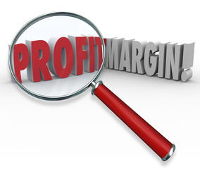 Profit Margins Magnifying Glass Words Big Earnings Zoom Earned I