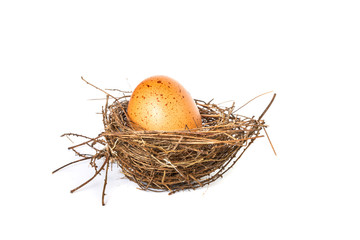 Egg on a white background