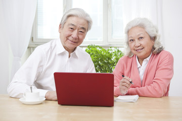 Fototapeta na wymiar .Senior couple using laptop.