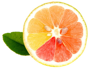 citron bio coloré