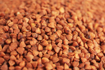 Raw buckwheat, close-up